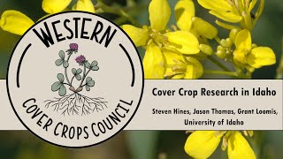 Field Tours Overview of Cover Crop Research in Idaho [upl. by Bethezel249]