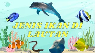 Belajar Mengenal Nama Ikan Laut Mengenal nama nama hewan di laut untuk anak dan balita [upl. by Allina652]