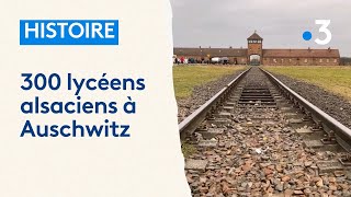 Histoire  300 lycéens alsaciens à Auschwitz [upl. by Adlar989]