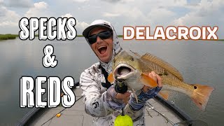 Catching Summer Specks amp Redfish In Delacroix [upl. by Kaufmann]