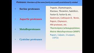 Serine Proteases Mechanism of Action [upl. by Ahsurej24]