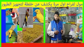 مول لفراخ اكتشف اقوى خلطة لتحفيز الطيورcanto natura [upl. by Noelopan565]