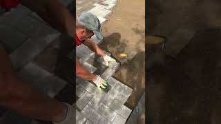 Paving bricks on cementsand mixture brick bricks gardendesign pavers diyideas landscape [upl. by Perseus]