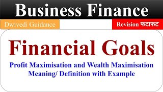 Financial Goals Business Finance bcom business finance in hindi objective of financial manager [upl. by Athalie937]