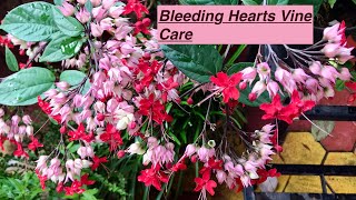 BLEEDING HEARTS Trailer [upl. by Holle848]