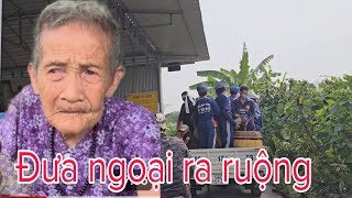 Trên đường đưa ngoại gần 100 tuổi ra ruộng [upl. by Dachia]