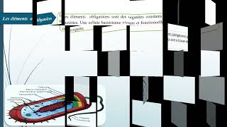 Vidéo de contenu Formation aux TIC session Mars 2024 Dr D Asma [upl. by Rosemonde449]