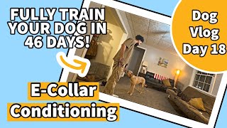 ECollar Conditioning Using Place  Dog Vlog Day 18 [upl. by Inittirb166]