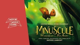 Mathieu Lamboley  Le nid  From the movie quotMinuscule Mandibles From Far Awayquot [upl. by Falo19]