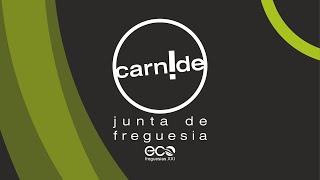 13Âª Assembleia de Freguesia de Carnide  18092024 [upl. by Ibbetson]