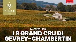 I 9 Grand Cru di GevreyChambertin [upl. by Valenza]