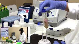 Midi amp Maxi Plasmid DNA Isolation in 18 Mins with ZymoPURE™ [upl. by Annodas]