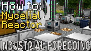 How to Industrial Foregoing  Mycelial Reactor Minecraft 1201 [upl. by Ynamrej]