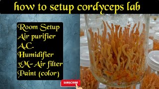 how to Setup Cordyceps militaris Lab [upl. by Aitselec44]