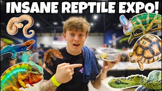 I SPENT OVER 1000 AT THIS REPTILE SHOW INSANE [upl. by Shoshana]