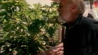 Global Gardener  Permaculture with Bill Mollison Bullfrog Films clip [upl. by Nasho]