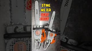 STIHL MS 251 FIRST START stihl [upl. by Meesak946]