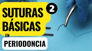 SUTURAS BÁSICAS EN PERIODONCIA  PARTE 2 Tutorial de suturas continuas [upl. by Miran666]