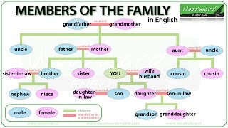 Members of the Family in English [upl. by Steven]