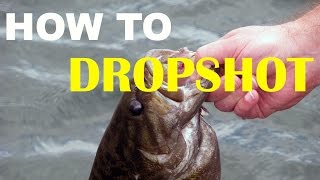 How To Dropshot Fish  Bass Fishing [upl. by Ketty729]