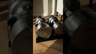 Cool Adjustable Dumbbells for Home Workout Sessions [upl. by Brunelle]