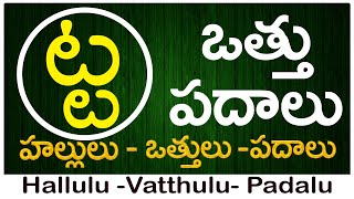 Ta Vattu Padalu  How to write Ta vattu  ట వత్తు పదాలు  Hallulu vatthulu padalu in telugu [upl. by Asetal]