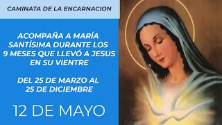 LA CAMINATA DE LA ENCARNACION 12 DE MAYO [upl. by Aicil]