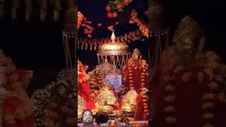 Maa bhakti div Vaishno Devi viralvideo maavaishnavdevi [upl. by Htez]