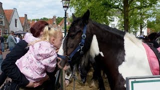 Paardenliefde op de 333e editie van de Paardenmarkt  Heenvliet 2019 [upl. by Eltsirc]