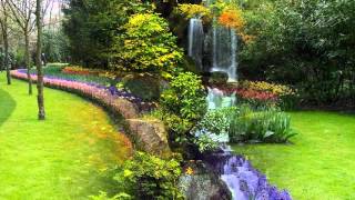 Vozes da Primaveravalsa de Johann Strauss Jr  wmv [upl. by Zoila820]