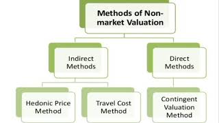 Contingent Valuation Method [upl. by Ilyah343]