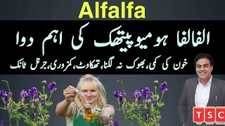 Alfalfa homeopathic medicine  alfalfa tonic benefits in weight gain  alfalfa mother tincture [upl. by Donell]