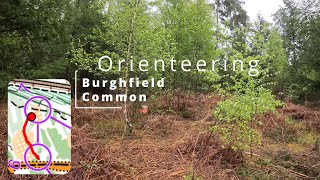 Orienteering  Burghfield Common orienteering [upl. by Jc302]