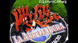 VIEJITAS DE LA ARROLLADORA BANDA EL LIMON DE RENE CAMACHO [upl. by Einattirb]