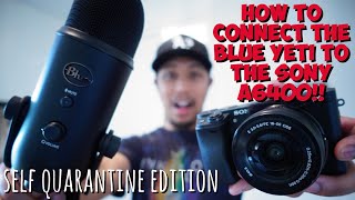 How To Connect The Blue Yeti Microphone To The Sony A6400 A6100 A6600  dennis meets world [upl. by Yelats]