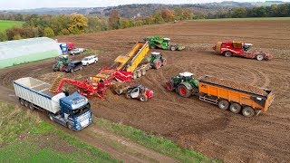 Big Potato Harvest in Belgium  Fendt 1050 amp 1042  AVR Puma  Grimme Varitron  Cleanloader [upl. by Yssak]