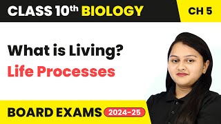 What is Living  Life Processes  Class 10 Biology Chapter 5  CBSE 202425 [upl. by Onairda]