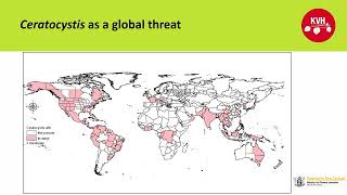 Ceratocystis fimbriata a global threat  Matt Dyck KVH [upl. by Ietta348]