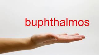 How to Pronounce buphthalmos  American English [upl. by Uzziel330]