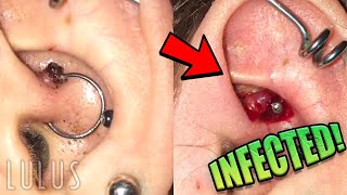 Reacting To INFECTED Daith Piercing Pt2 [upl. by Pears]