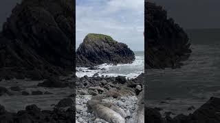 Syncline at Stackpole Quay [upl. by Hall879]