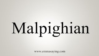 How To Say Malpighian [upl. by Acnalb]