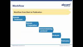 Principles of Immunohistochemistry IHC [upl. by Hubbard]