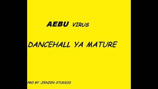 AEBEN VIRU DANCEHALL YA MATURE PROUD BY ZENZEN [upl. by Norward]