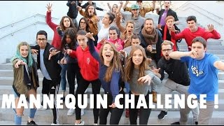 BEST MANNEQUIN CHALLENGE IN PUBLIC   MannequinChallenge [upl. by Mlohsihc]