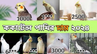 কোকাটেল পাখির মূল্য ২০২৪ ॥ Cocatail bird price in Bangladesh [upl. by Delahk]