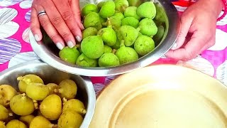 व्रत वाला अंजीर तिमला Fig सात्विक हलुआ। Anjeer Timla Fig FicusAuriculata Halua NavratriSpecial [upl. by Swetiana]