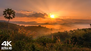 Relaxing Vietnamese Music  Traditional Music  Beautiful Music for RelaxationStudyingMeditation [upl. by Chatwin]