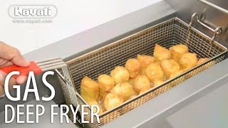 Nayati Deep Fat Fryer [upl. by Titos]