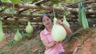 harvest agricultural products cucurbits eggplants bring to the market to sell Triệu Thị Phương [upl. by Nima]